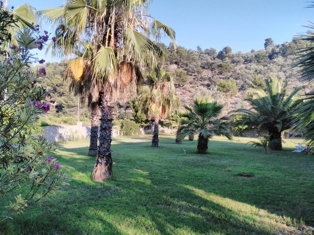 The Palm Apart Sarigerme Exterior photo